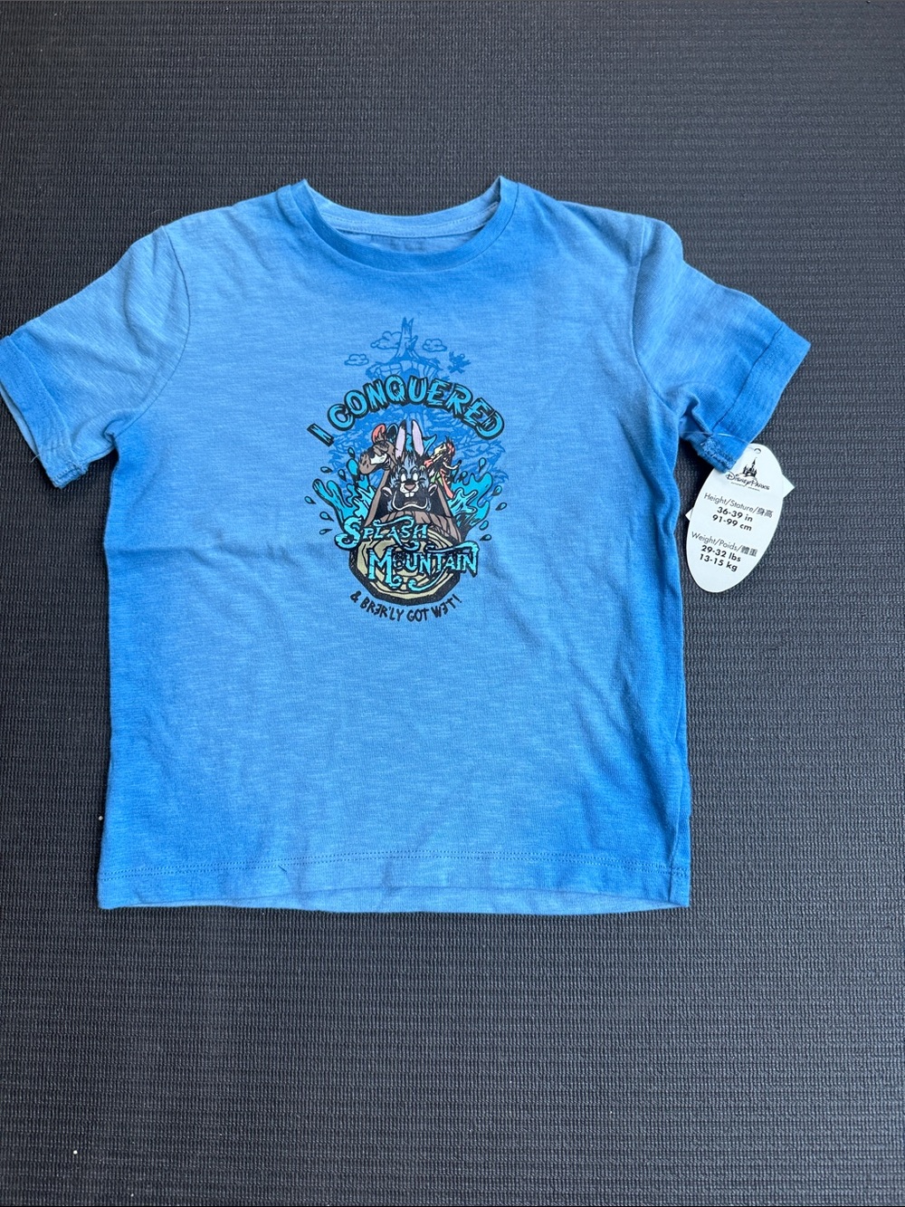 Disney Blue Kids 'I Conquered Splash Mountain' Graphic Tee